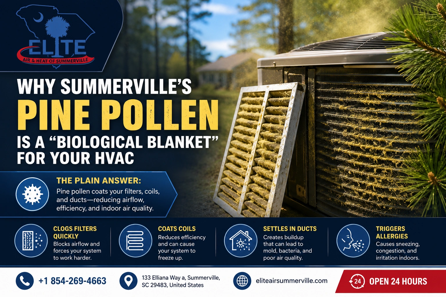 Pine Pollen