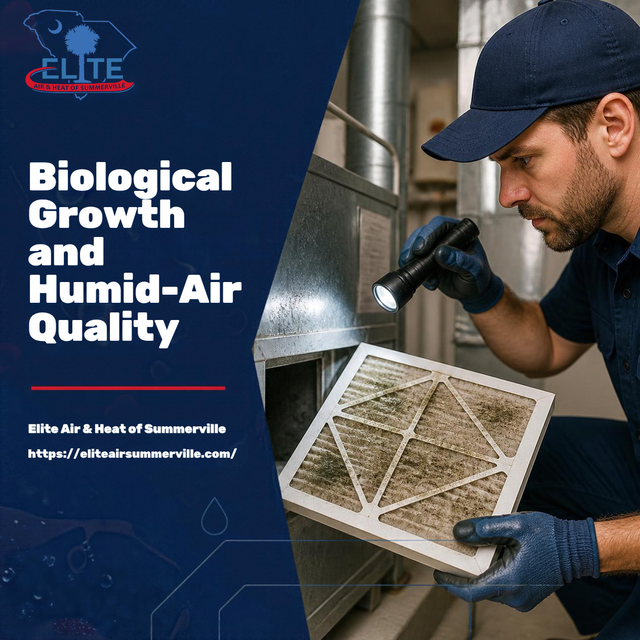 Why Biological Growth Is the #1 Threat to Air Quality in Humid Summerville
