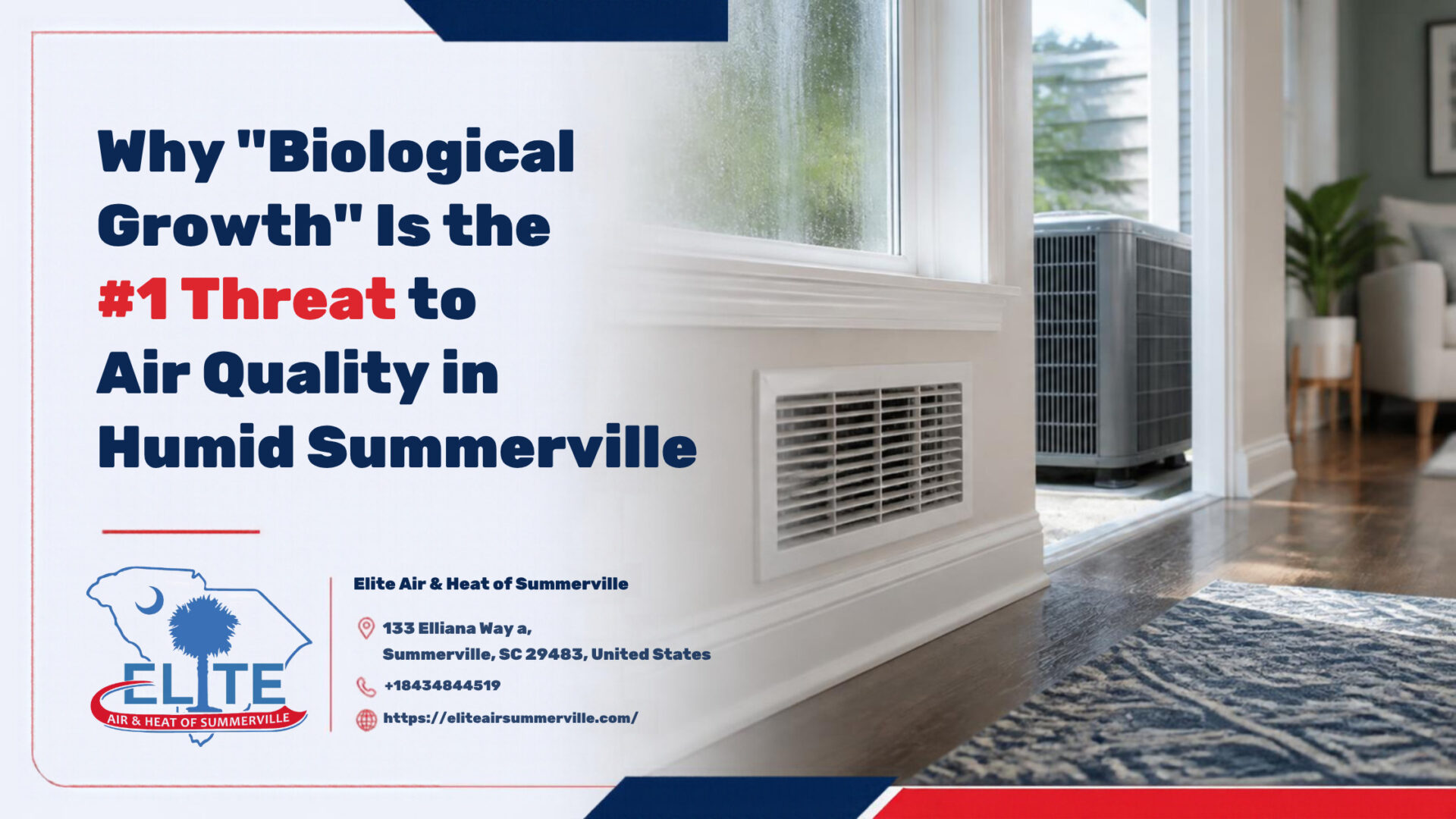 Why Biological Growth Is the #1 Threat to Air Quality in Humid Summerville